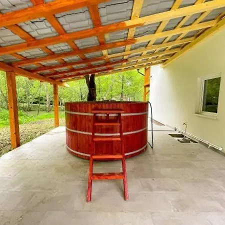 Pensiunea Eurosan Codrii Vlasinului Guest house *
